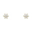 14k Gold Flower Stud Earrings with Screw Back - 12 Different Colors Available ST205-Joyeria Oro Fino 14K